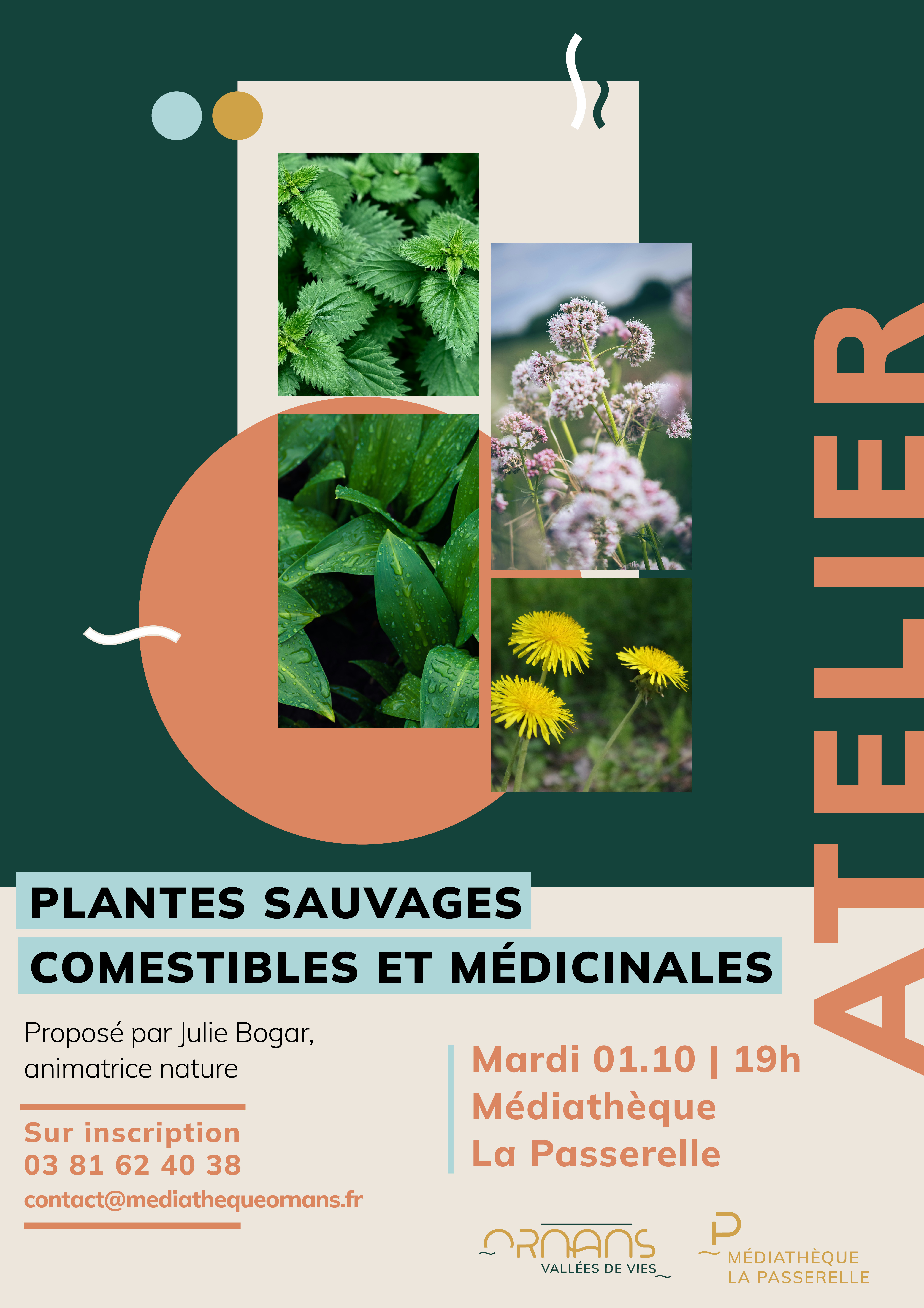 Affiche A4 Atelier plantes sauvages comestibles