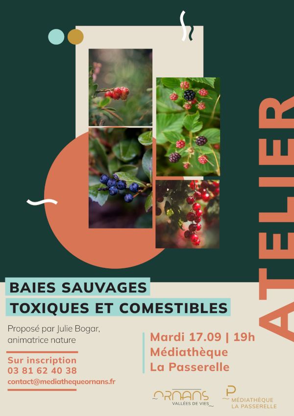 Affiche atelier baies sauvages