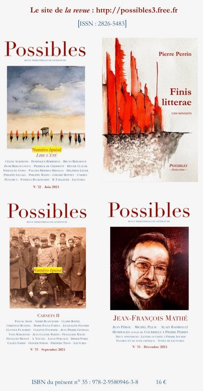 revue Possibles01